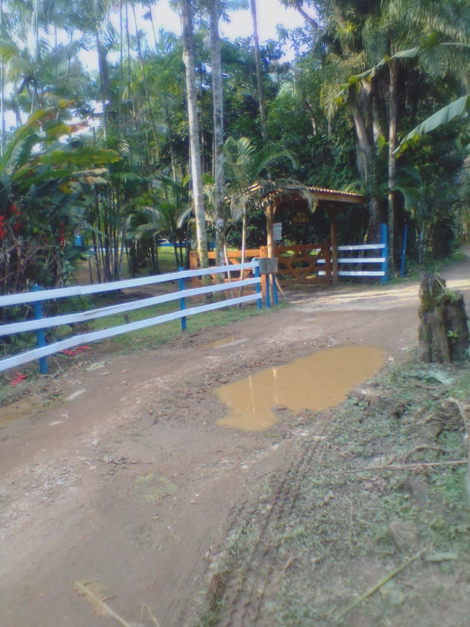 Belíssimo Sítio em meio a Natureza com Área Total de 35.000m².