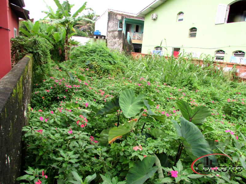 Terreno com 300m² em ótima localização!